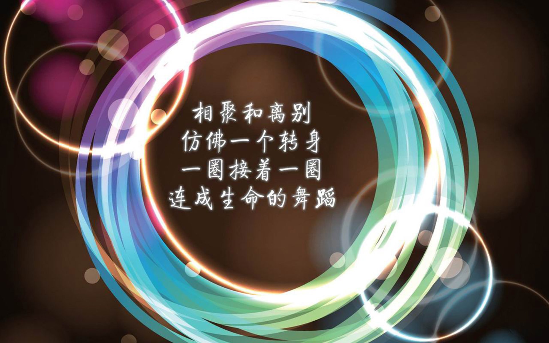 _国际马术争霸赛：优雅骑艺震撼人心_，国际马术表演