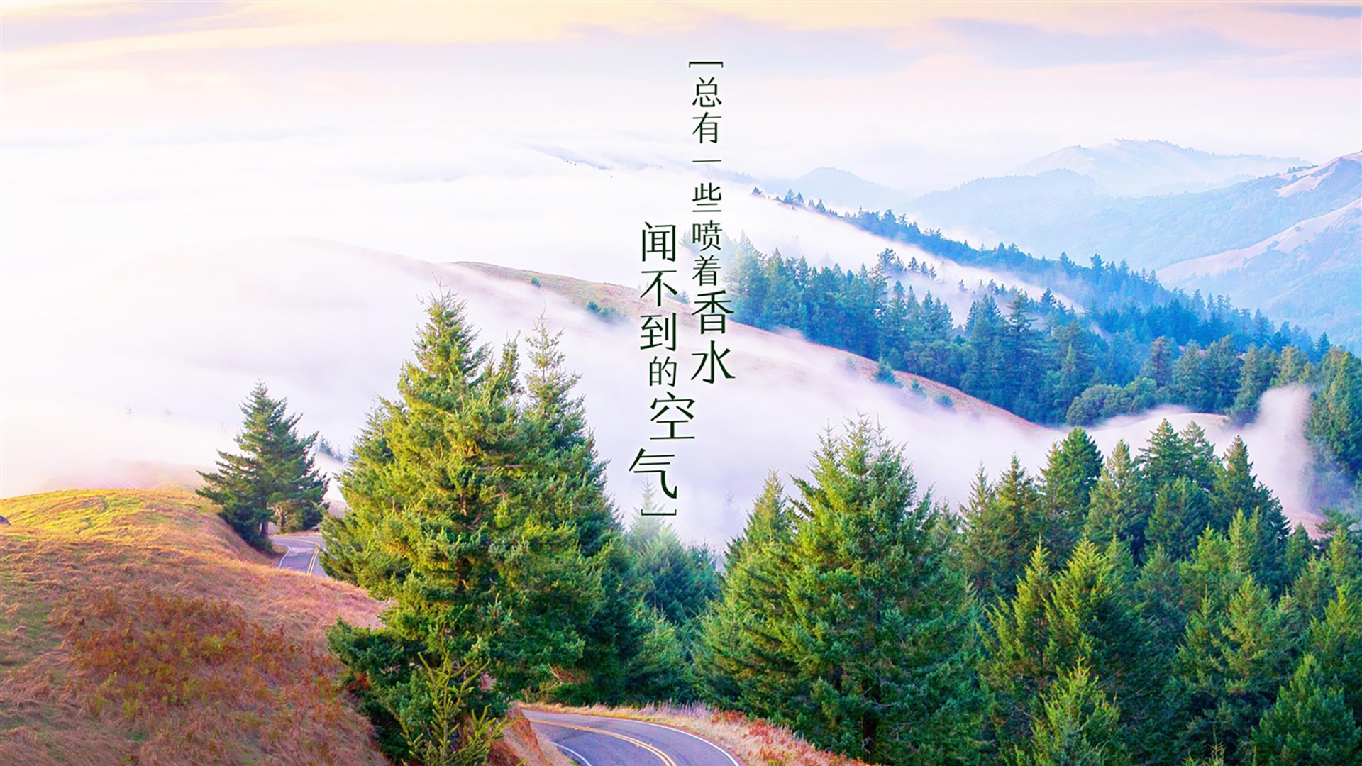 “球迷投票：最惊心动魄的比赛是哪一场？”，惊心动魄的篮球赛