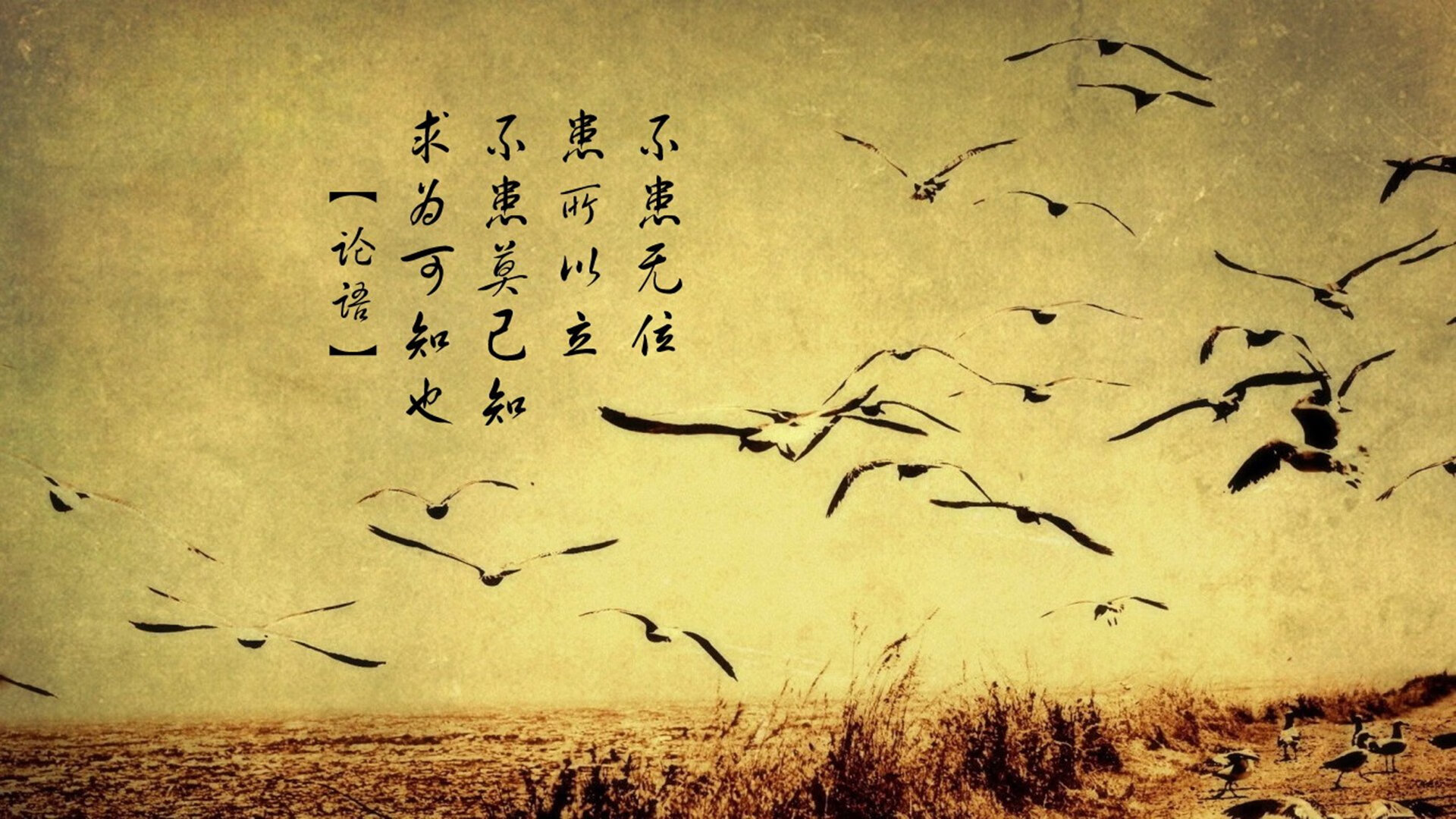 史上最震撼的“逆转战”，让人久久无法平静的比赛回顾，逆转pg