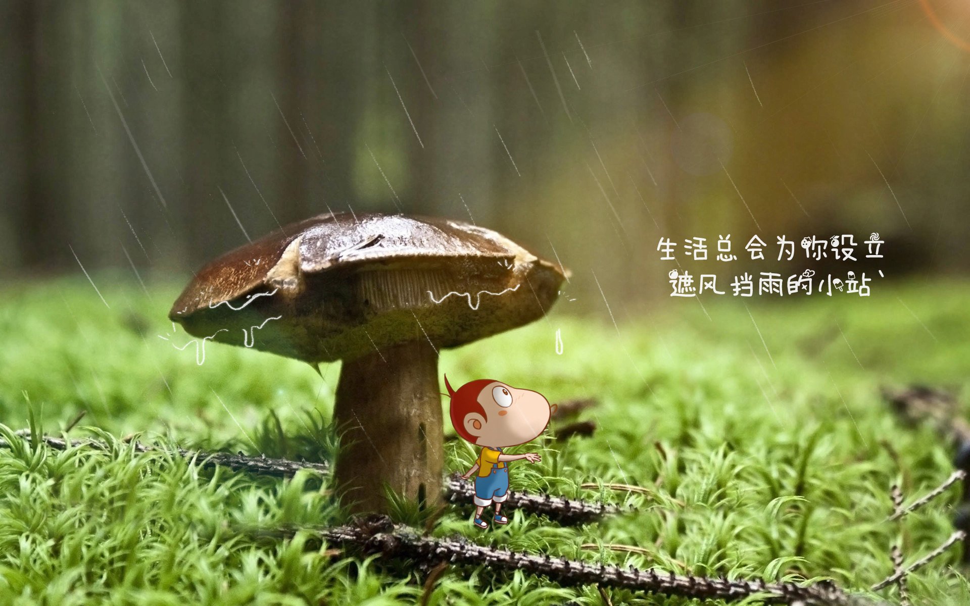 合作签约档：联盟与大牌品牌的最新合作项目，合作签约流程怎么写
