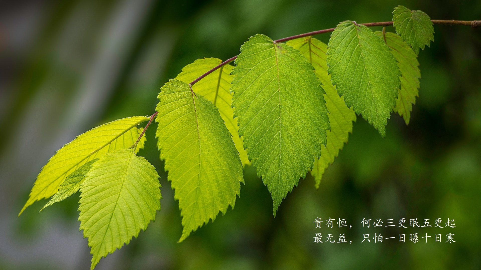 射手场均射门次数排名联赛前列，射手比赛
