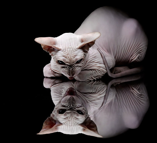 基层青训基地缺乏科技辅助设施,基层青训基地缺乏科技辅助设施的原因