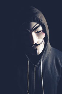 开云官方-弗朗索瓦·斯图尔特：出色的进攻组织者，带领南非队稳步向前，弗朗索瓦莱特瑞尔