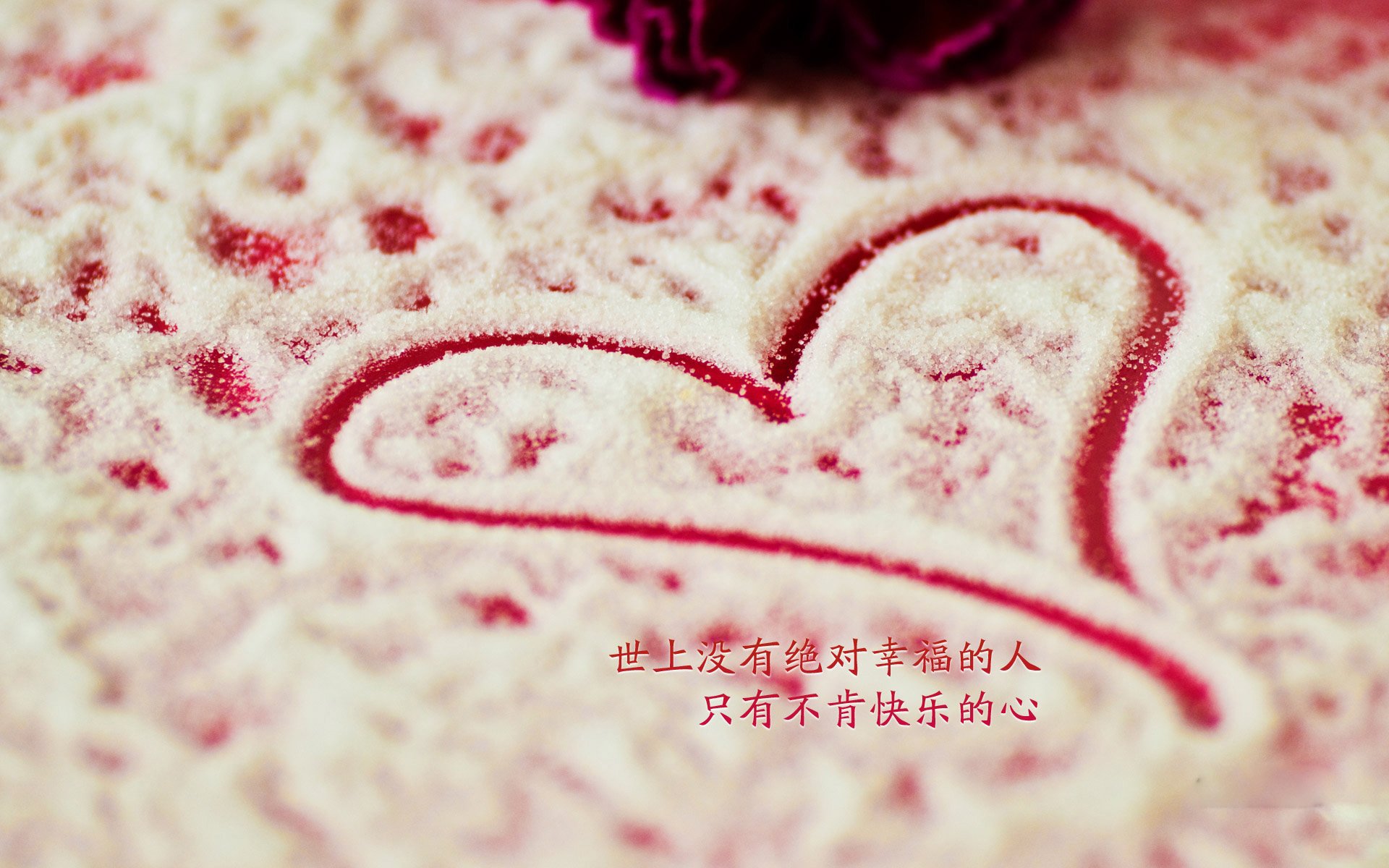 朱婷参加公益活动传递女排精神，朱婷女排精神 新闻